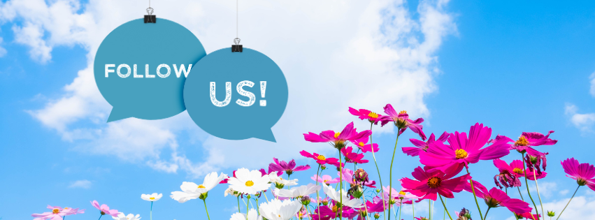 Follow us on social media