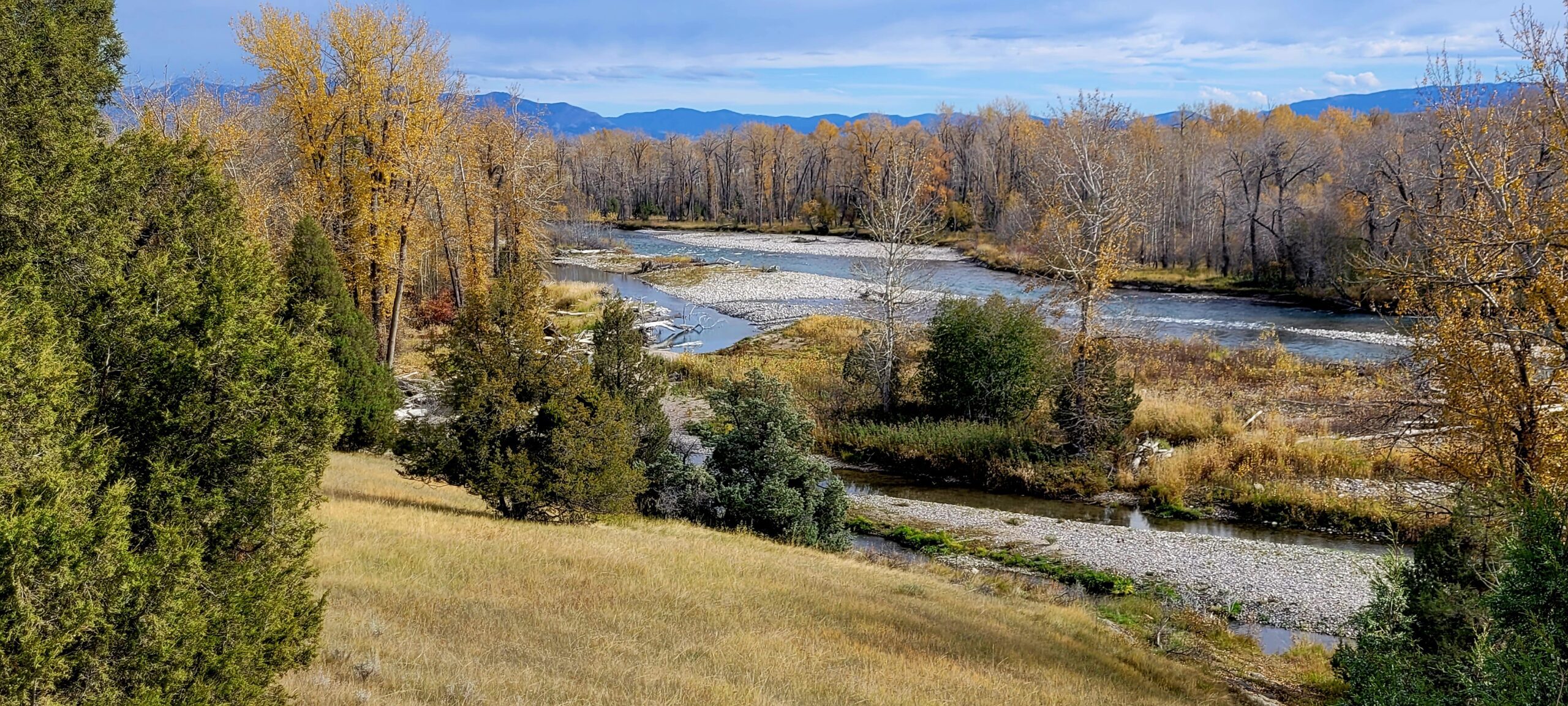 Gallatin Conservation Area near Hamilton Missouri