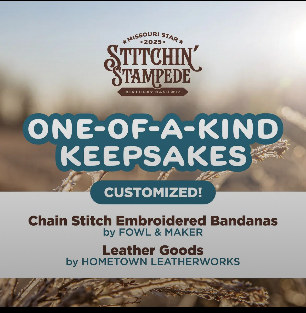 Missouri Star Quilt Birthday Bash