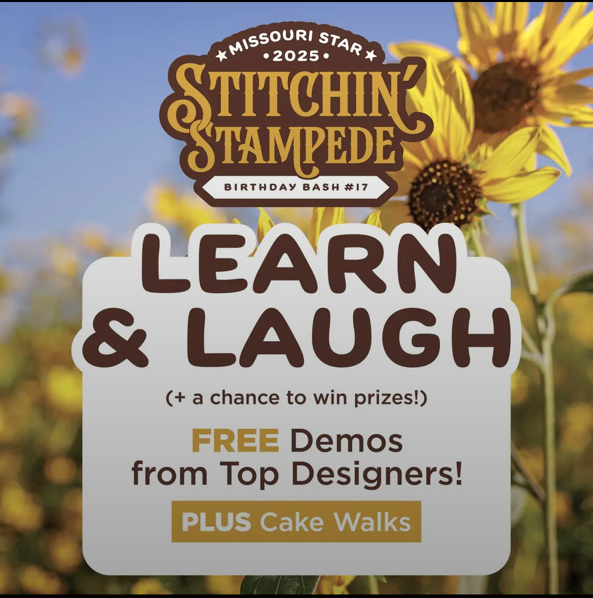 Missouri Star Quilt Birthday Bash