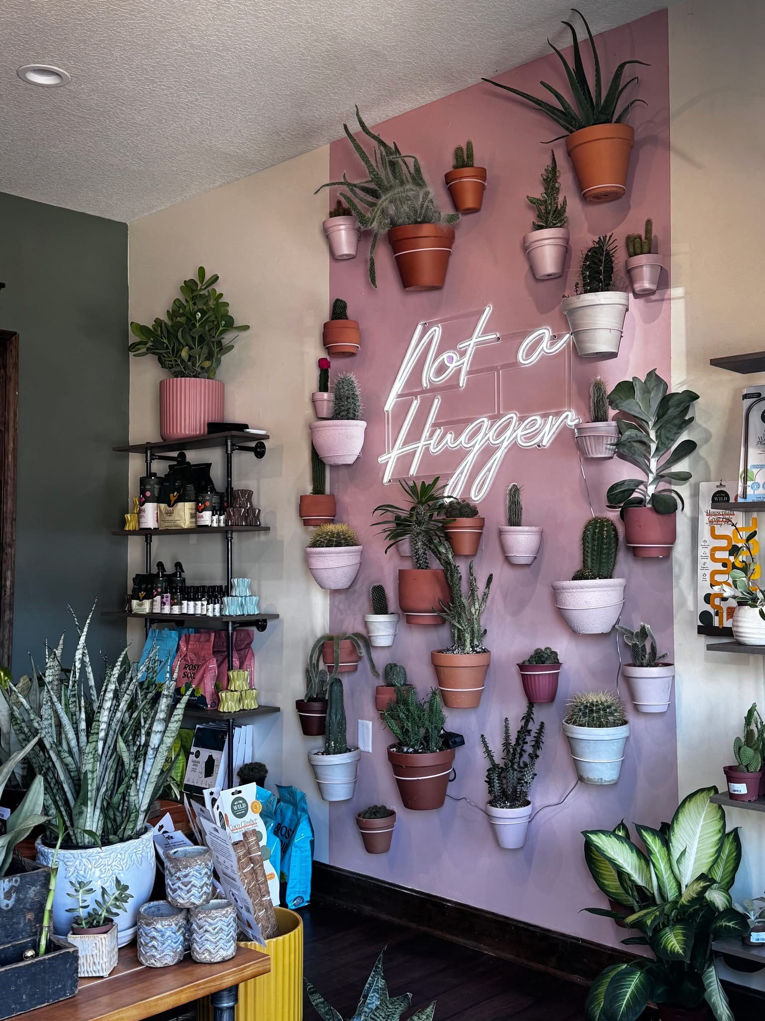 Thistle and Horn Plant Boutique in Hamilton Missouri Thistle and Horn Plant Boutique in Hamilton Missouri