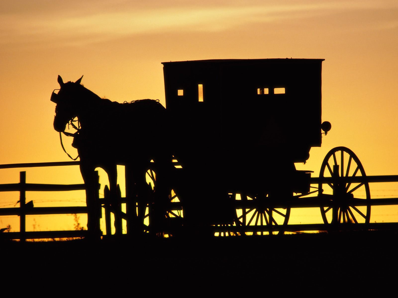 Amish buggy in Hamilton Missouri