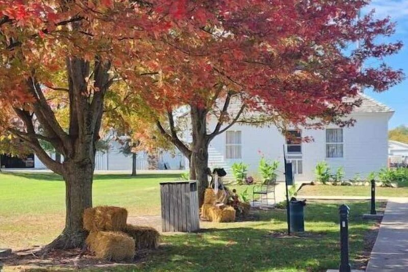 Fall trees in Hamilton Missouri